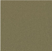 Nashville rietgroen 0913